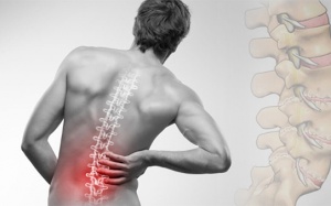 Cách cải thiện đau cột sống lưng hiệu quả cùng sản phẩm thiên nhiên