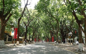 Miền Bắc trưa hửng nắng, nhiệt độ tăng 