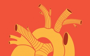 Suy tim trái và suy tim phải có gì khác biệt?