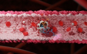 Israel xác định được nguyên nhân người bệnh COVID-19 bị đau tim, đột quỵ