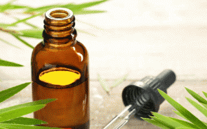 5 công dụng tuyệt vời của tinh dầu tràm trà 