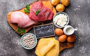 Acid amin thiết yếu, không thiết yếu và các lợi ích cho cơ thể