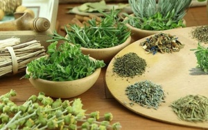 Cây thuốc Nam trị thiếu máu cơ tim đã được chứng minh hiệu quả