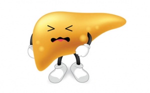 Nhận biết gan nhiễm mỡ độ 1 và cách cải thiện bằng thảo dược