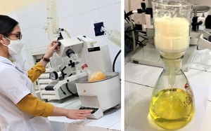 Tổng hợp thành công hợp chất làm thuốc điều trị COVID-19 từ nguyên liệu giá rẻ