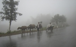 Vùng núi Bắc Bộ rét đậm từ 30/11