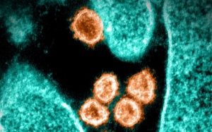 Những phát hiện mới nhất về biến thể Omicron