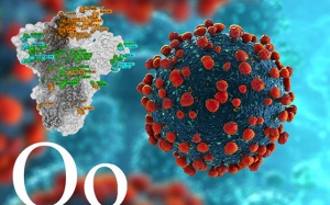 Omicron đang lây lan nhanh 'chưa từng thấy', Campuchia đã có ca đầu tiên