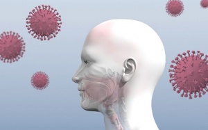 Cách giúp bạn khôi phục lại vị giác và khứu giác hậu COVID-19