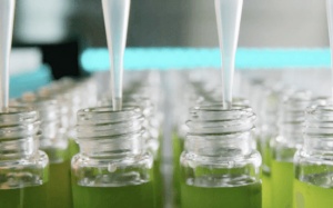 Tham khảo mô hình sản xuất vi tảo Nannochloropsis tại Australia