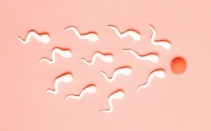 COVID-19 có thể gây suy cả số lượng lẫn chất lượng tinh trùng của nam giới?