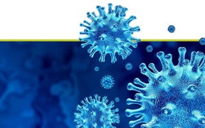 Nhìn lại 2 năm đại dịch COVID-19