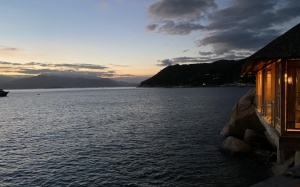 Dự cảm 2022: COVID-19 và bản chất xã hội của loài người