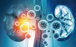 Phát hiện mới về mối liên hệ trực tiếp giữa bệnh suy thận và COVID-19