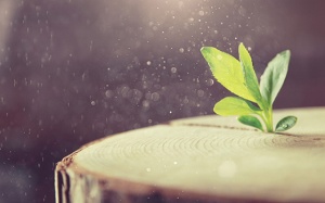 Tử vi thứ Ba (11/1/2022): Thiên Bình sắp bước sang một chương mới trong cuộc sống