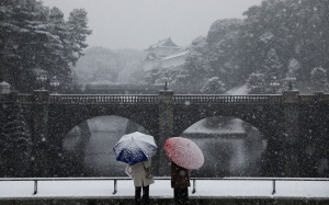 Chùm ảnh: Khung cảnh Tokyo lung linh trong mùa tuyết rơi 