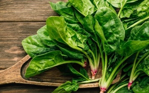 Rau bina dù tốt cho sức khỏe nhưng đừng nên lạm dụng