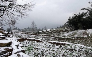 Bắc Bộ tiếp tục rét đậm, vùng núi khả năng xảy ra băng giá