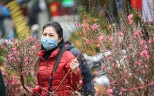 Mùa bình thường, mùa vui đã đến rồi!