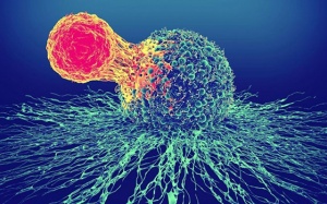 Liệu pháp tế bào CAR T: Tiên phong “chữa khỏi” ung thư máu