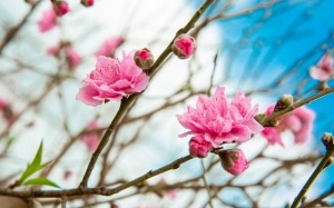 Tháng Giêng “ăn chơi” có trách nhiệm