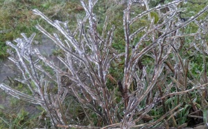 Đầu tuần, Bắc Bộ chìm sâu trong giá rét