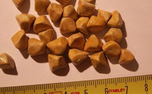 Sỏi túi mật 21mm có nguy hiểm không, nên điều trị thế nào?