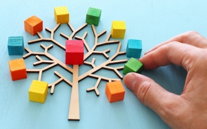 Tử vi thứ Năm (17/3/2022): Song Tử nên có trách nhiệm với lựa chọn của mình