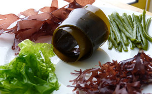 Xu hướng thực phẩm bảo vệ sức khỏe từ tảo