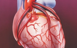 Bệnh mạch vành: Phương pháp bắc cầu động mạch vành có hiệu quả không?