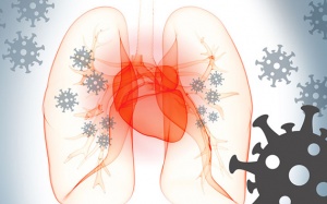 Người bệnh tim mạch nên làm gì để bảo vệ sức khỏe trong mùa dịch?