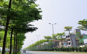 Bắc Bộ mưa rào vài nơi, cảnh báo tia UV tại Nam Bộ ở mức cao