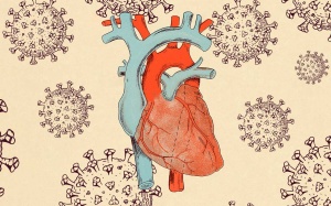 Di chứng tim mạch hậu COVID-19 do đâu, ai là người dễ mắc?