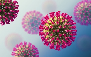 WHO: Tiếp tục theo dõi các biến thể COVID-19 XE Omicron và XD