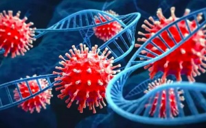 Biến thể XE lan tới nhiều quốc gia và hy vọng về vaccine COVID-19 dạng xịt