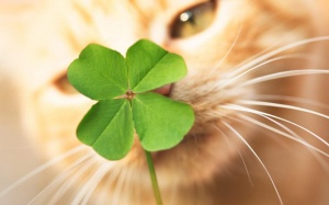 Tử vi thứ Ba (19/4/2022): Song Ngư sẽ có ngày mới nhiều may mắn