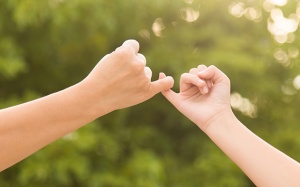 Tử vi Chủ nhật (24/4/2022): Sư Tử nên suy nghĩ kỹ trước khi hứa hẹn