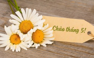 Tử vi tháng 5/2022: Bảo Bình sẽ có tháng mới với nhiều thay đổi