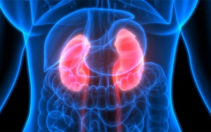Liệu pháp mới giúp kéo dài tuổi thọ bệnh nhân ung thư thận