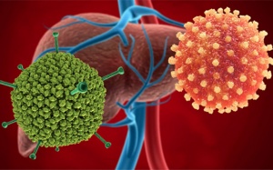  Adenovirus là 'thủ phạm' gây bệnh viêm gan bí ẩn ở trẻ em?