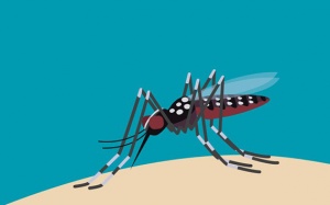 Sốt xuất huyết có thể bùng phát thành dịch trong năm 2022