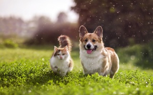 Tử vi Chủ nhật (22/5/2022): Bọ Cạp có thể tỏ ra khá thân thiện, hòa đồng