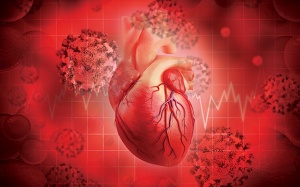 Tim đập nhanh, bỏ nhịp có phải rối loạn nhịp tim hậu COVID-19?