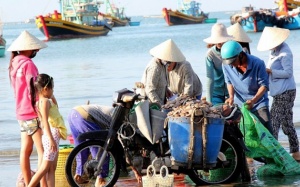 Sáng sớm đi chợ cá, trải nghiệm thú vị khi đến Đà Nẵng