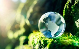 Infographic: 5 bộ phim hưởng ứng Ngày Môi trường Thế giới