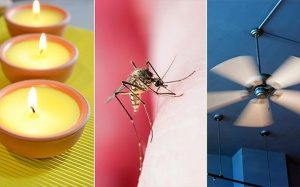 7 cách đơn giản để đuổi muỗi, phòng ngừa sốt xuất huyết