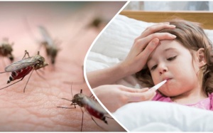 Sốt xuất huyết có thể trở thành dịch năm 2022