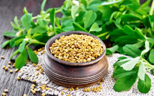 Những lợi ích không ngờ của cỏ cà ri