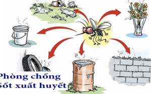 Đẩy mạnh truyền thông, phòng chống sốt xuất huyết