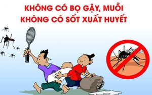 Những biện pháp phòng, chống bệnh sốt xuất huyết